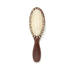 Brosse de Voyage