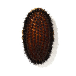 The Ionic Dry Brush Brosse Corps Ionique